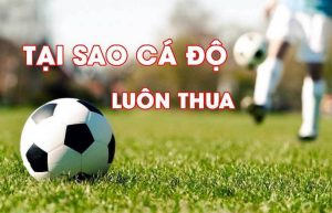 Cá độ bóng đá online mang đến sự tiện lợi khi tham gia đặt cược